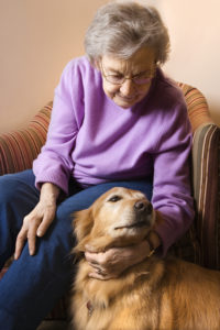Elder-Care-in-Sharon-MA