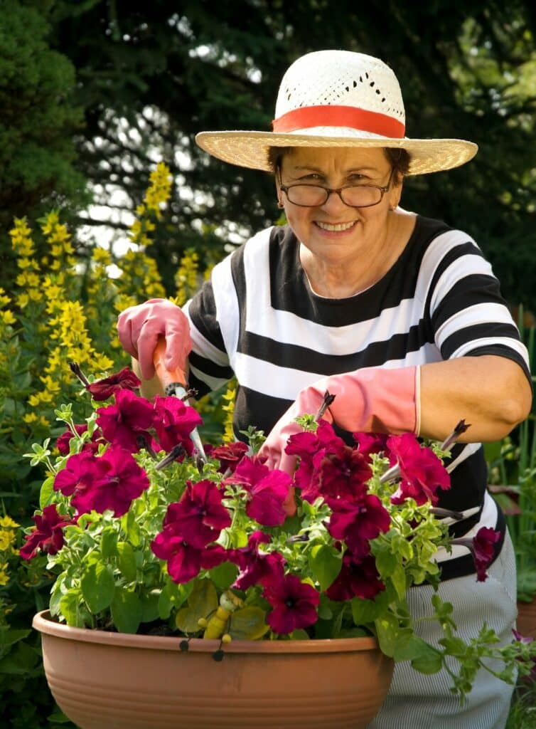 Homecare Westwood MA - Tackle These Six Projects for Your Mom During Older Americans Month