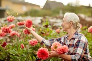 Elder Care Walpole MA - Easy Gardening for Seniors