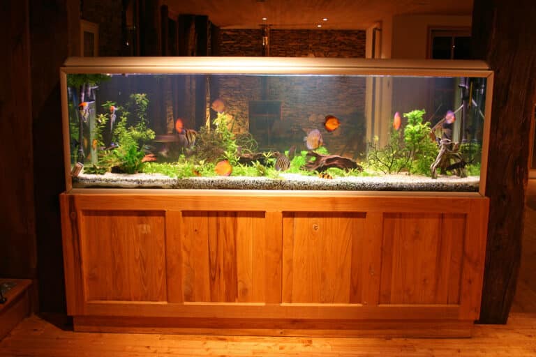 Fish tank stand pets at home cheap