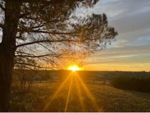 Accessible Outdoor Adventures Near Sherborn This Season